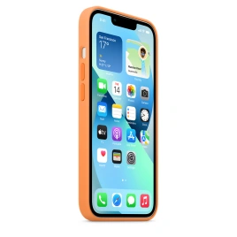 Силиконовый чехол Apple MagSafe для iPhone 13 Весенняя мимоза