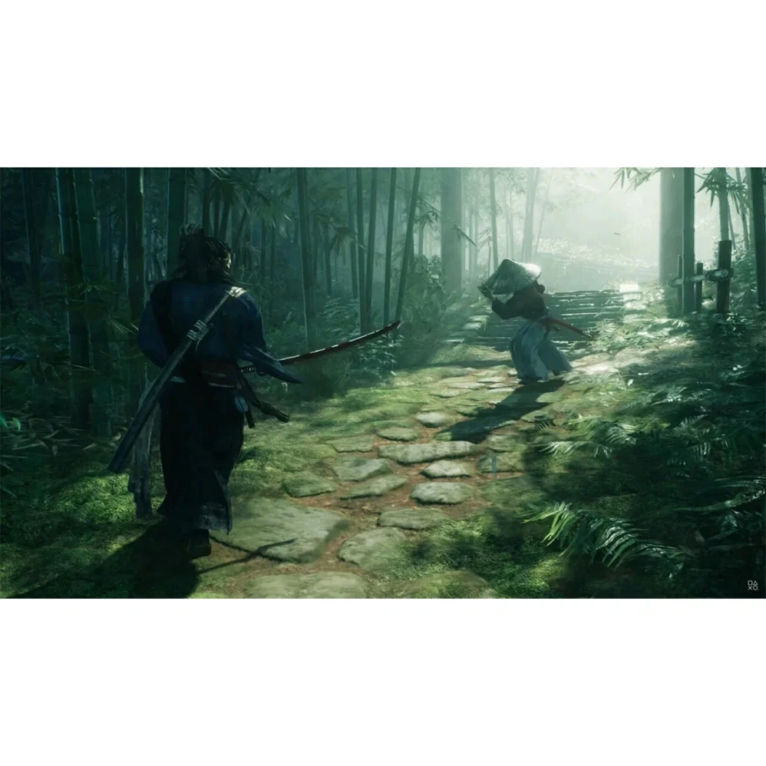 Игра Sony Rise of the Ronin (Русские субтитры) (PS5) фото 3